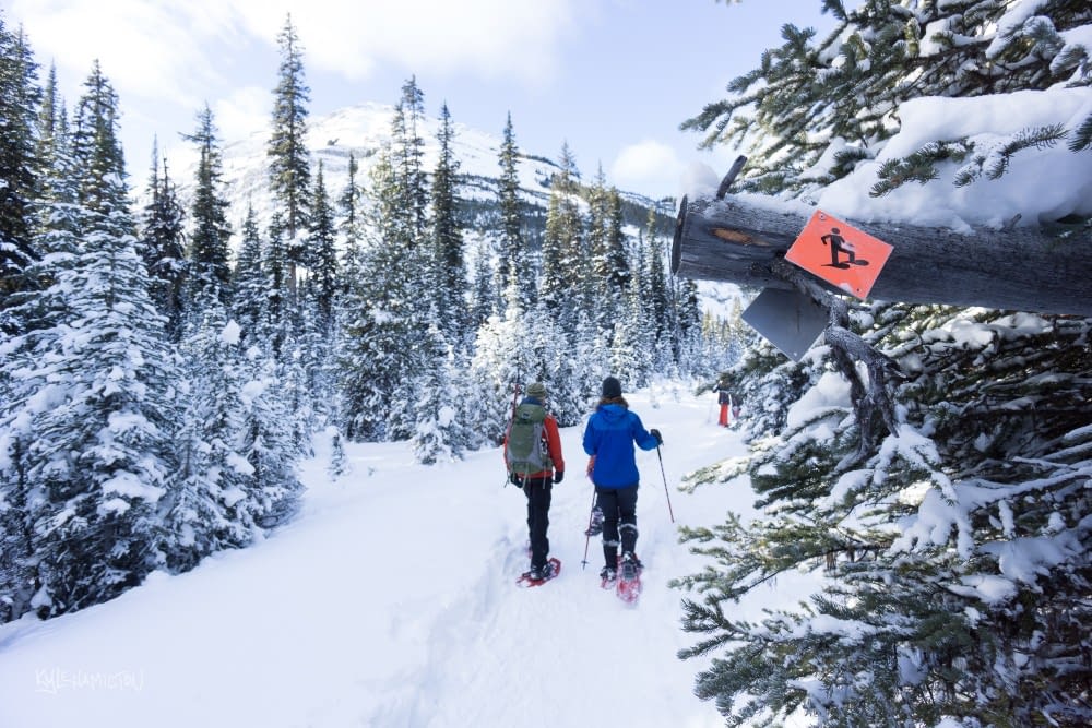 Snowshoeing in Kananaskis Epic Experiences