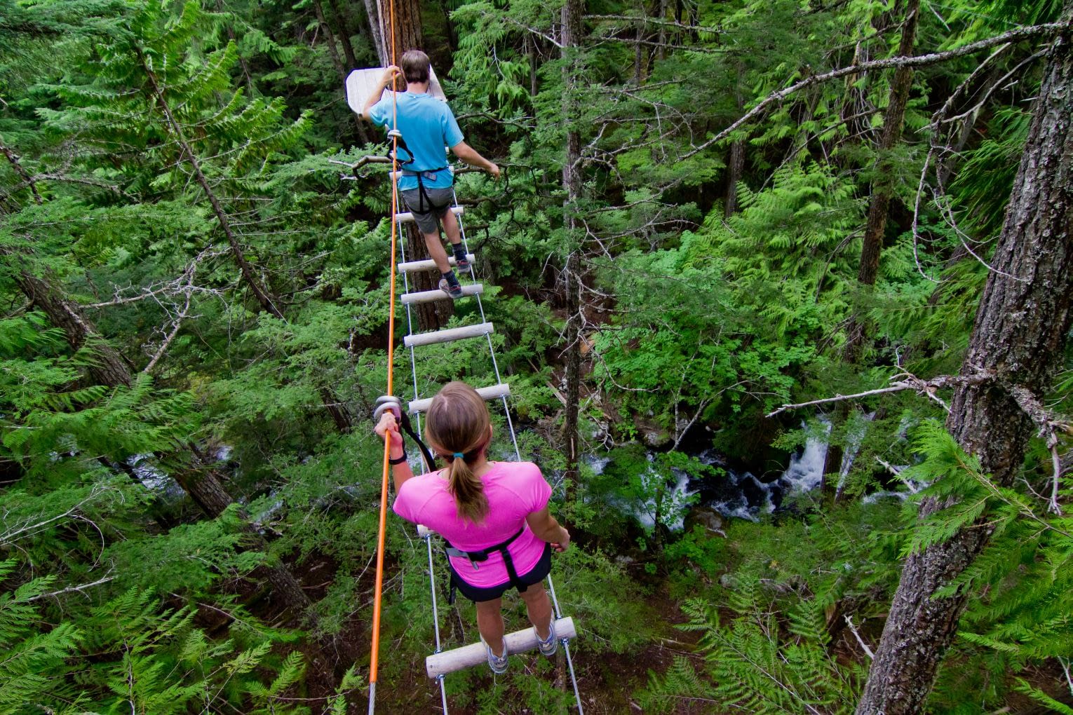 Treetop Adventure Whistler Whistler Treetop Adventure Epic Experiences