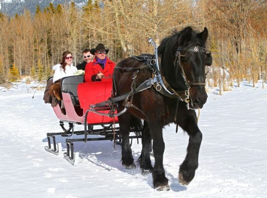 Romantic Sleigh Ride for 2 - Epic Experiences